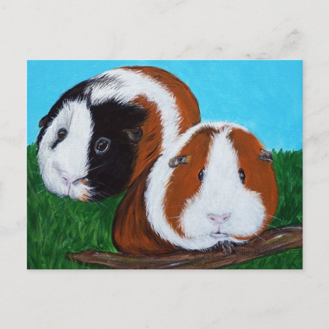 Guinea Pigs Painting Postcard (Front)