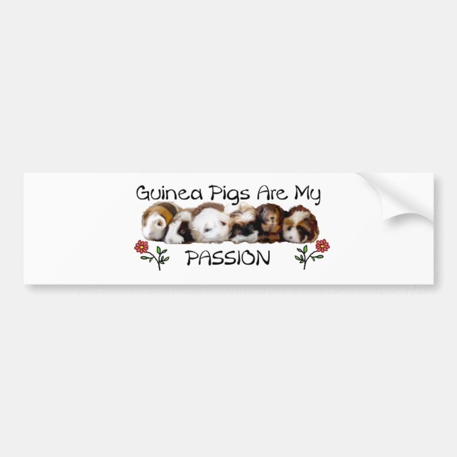 GUINEA PIGS PASSION.jpg Bumper Sticker (Front)