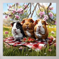 Guinea Pigs Picnic