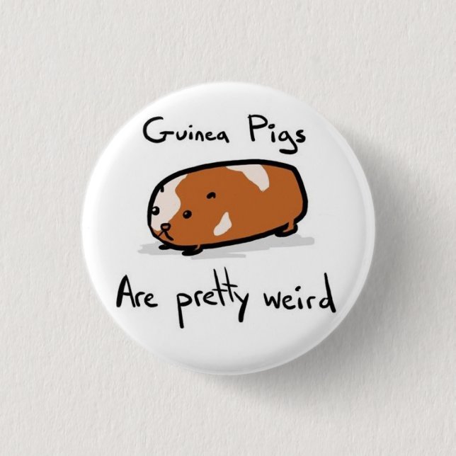 Guinea Pigs Pinback Button (Front)