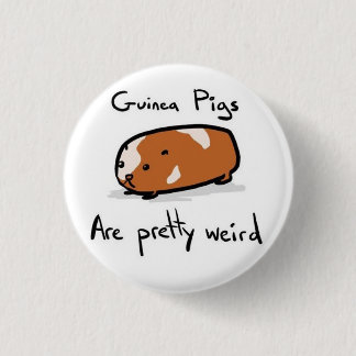 Guinea Pigs Pinback Button