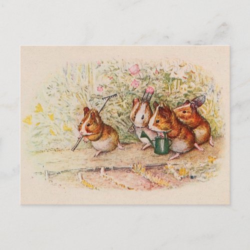 Guinea Pigs Planting in the Garden Postcard