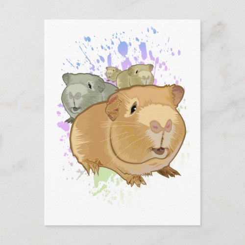 Guinea Pigs Postcard