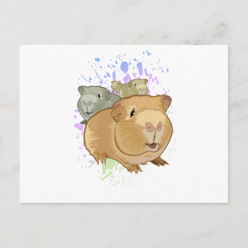 Guinea Pigs Postcard