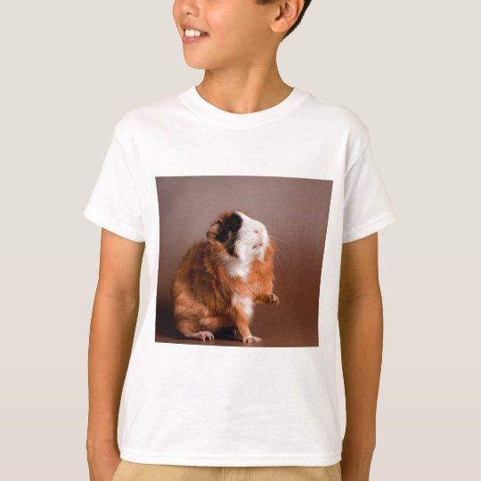 guinea pigs T-Shirt