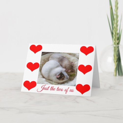 Guinea pigs Valentines card