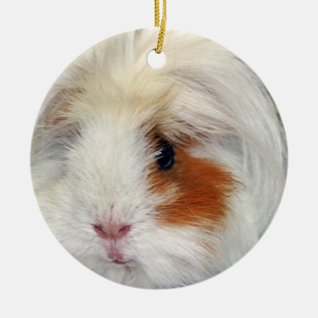 Guinea Pig's Wish Ceramic Ornament (Front)