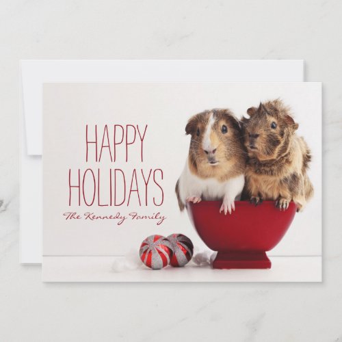 Guinea pigs with Christmas ball Holiday Card