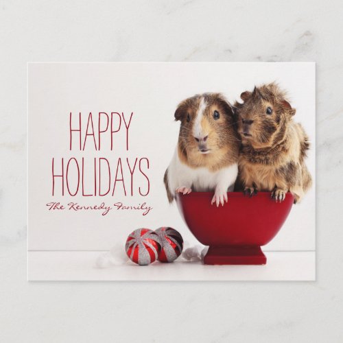 Guinea pigs with Christmas ball Holiday Postcard