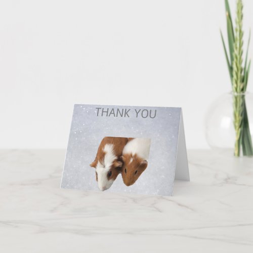 Guinea pigs with snowy background Thank You Card