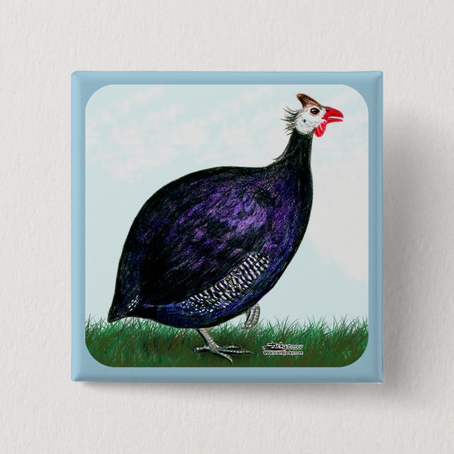 Guinea Royal Purple and Sky Button (Front)