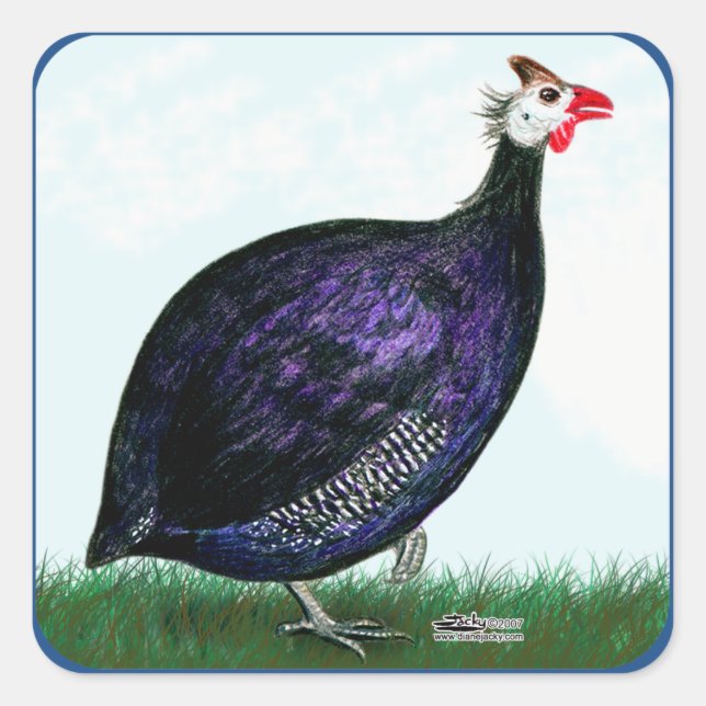 Guinea Royal Purple and Sky Square Sticker (Front)