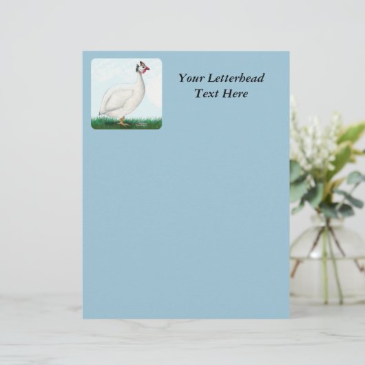 Guinea White (Standing Front)