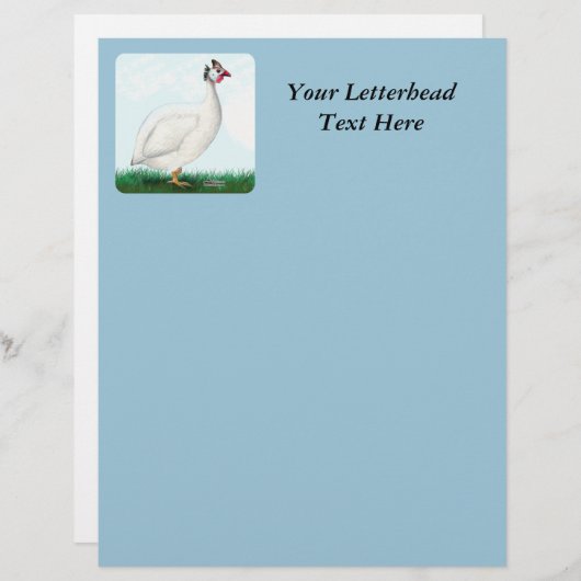 Guinea White (Front/Back)