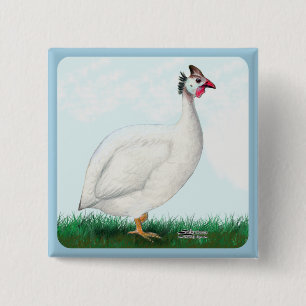 Guinea White Button