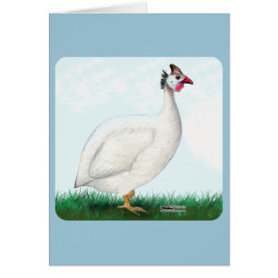 Guinea White Cards
