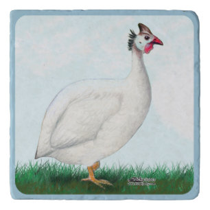 Guinea White Trivet