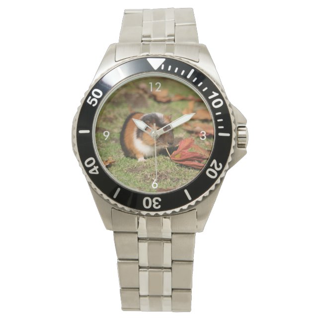 GuineaPig_20181001_by_JAMFoto Watch (Front)