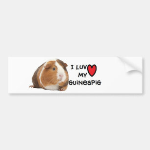 Guineapig Bumper Sticker"I love My Guineapig" Sticker