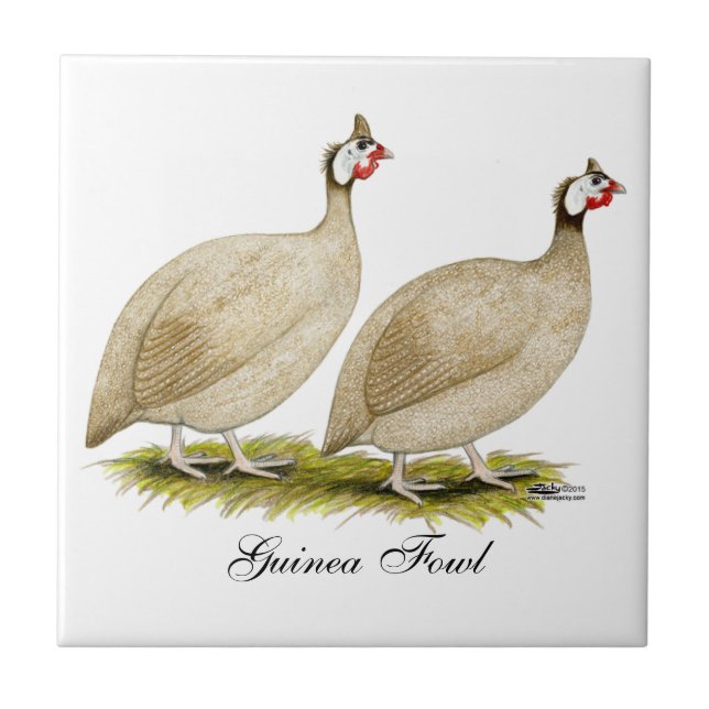 Guineas Buff Dundotte Fowl Tile (Front)