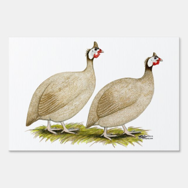 Guineas Buff Dundotte Fowl Yard Sign (Front)