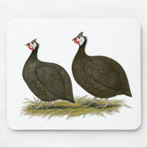 Guineas: Chocolate Mouse Pad