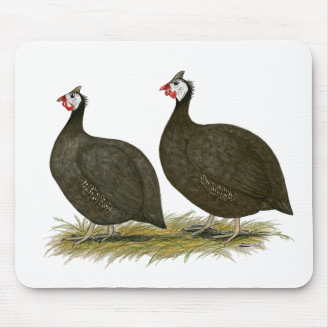 Guineas:  Chocolate Mouse Pad (Front)