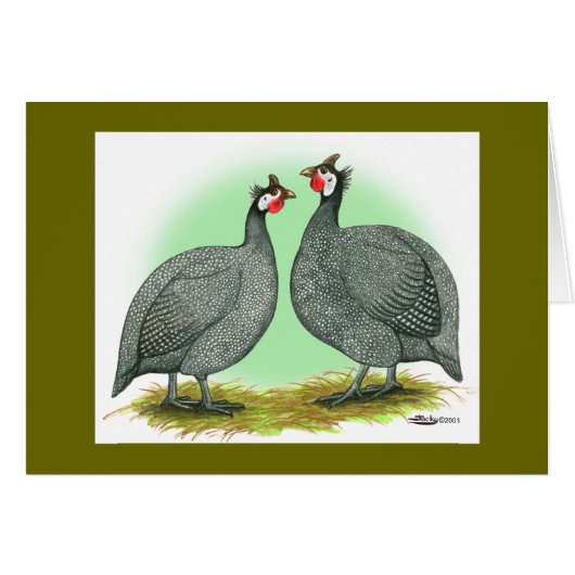 Guineas:  French (Front Horizontal)