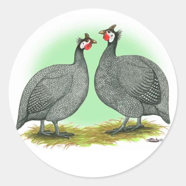 Guineas:  French Classic Round Sticker (Front)