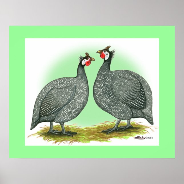 Guineas:  French Poster (Front)