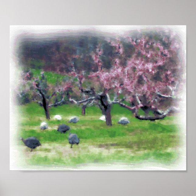 Guineas in the Orchard Print/Poster Poster (Front)