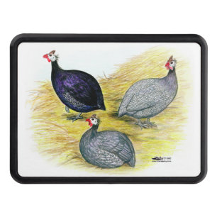 Guineas Purple, Coral Blue and Lavender Hitch Cover