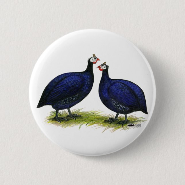 Guineas Royal Purple Pair Pinback Button (Front)