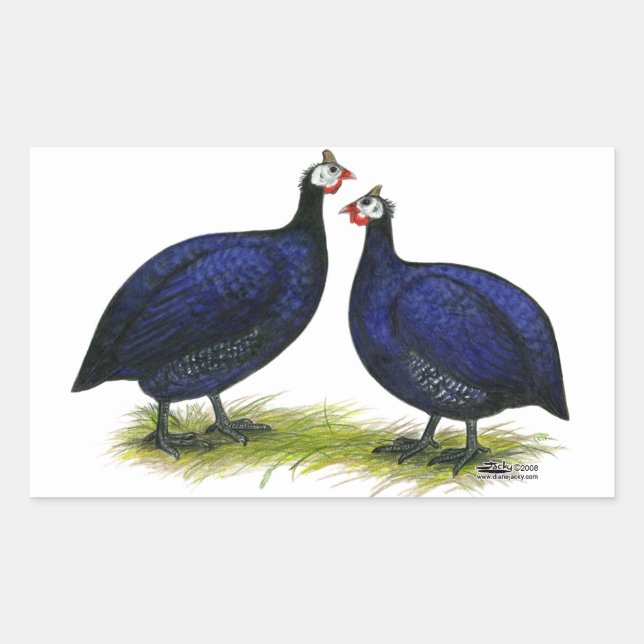 Guineas Royal Purple Pair Rectangular Sticker (Front)
