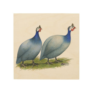 Guineas Slate Pair Wood Wall Decor