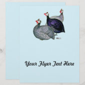 Guineas Three (Front/Back)