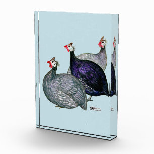Guineas Three Acrylic Award