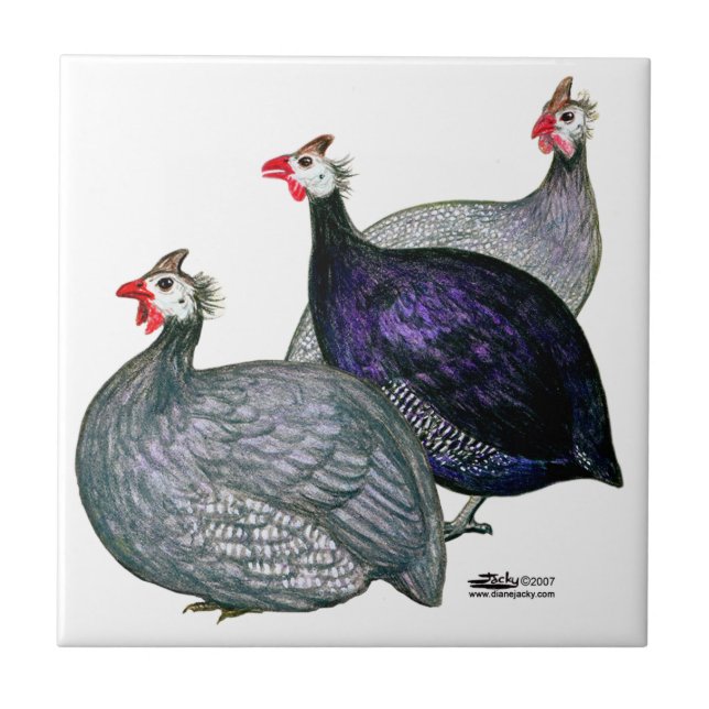 Guineas Three Ceramic Tile (Front)