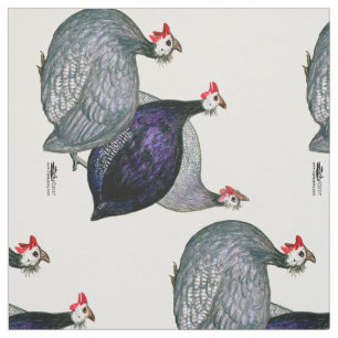 Guineas Three Fabric
