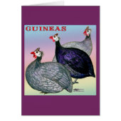 Guineas Three Fowl (Front)