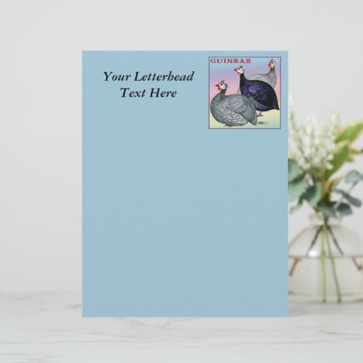 Guineas Three Fowl (Standing Front)