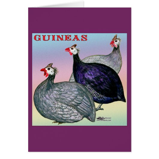 Guineas Three Fowl Cards (Front)