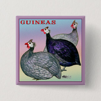 Guineas Three Fowl Pinback Button