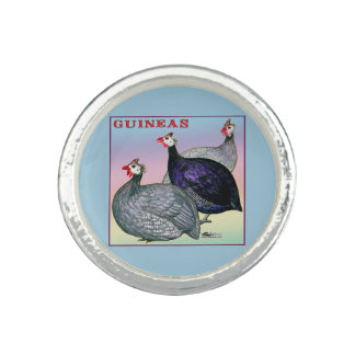 Guineas Three Fowl Ring