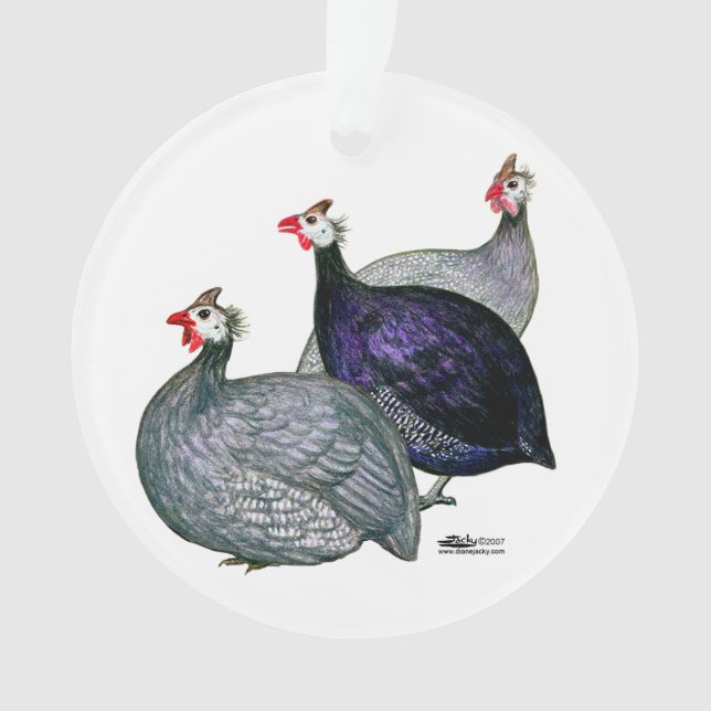 Guineas Three Ornament (Front)