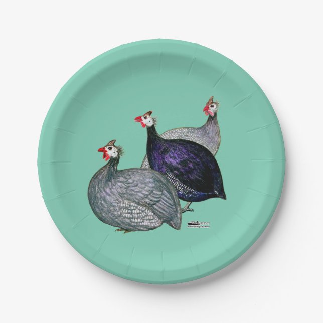 Guineas Three Paper Plates (Front)