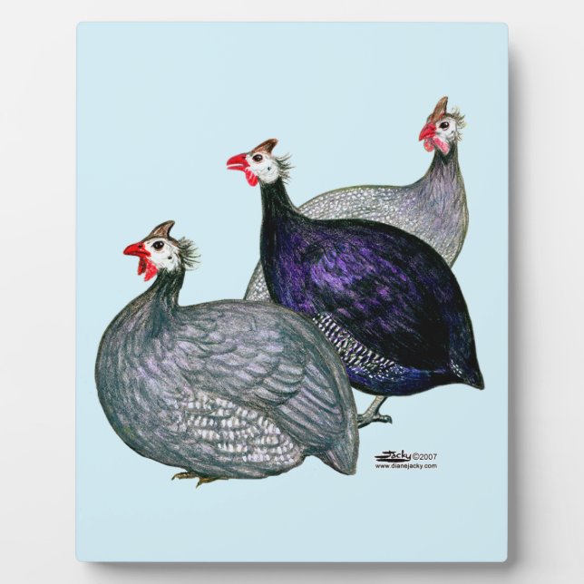 Guineas Three Plaque (Front)