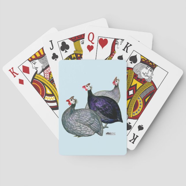 Guineas Three Poker Cards (Back)