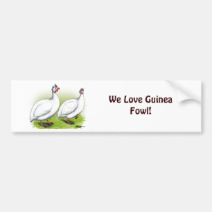 Guineas: White Bumper Sticker