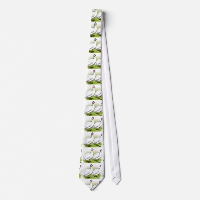 Guineas:  White Neck Tie (Front)